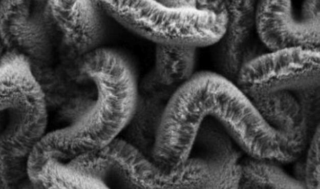 行业新闻：可拉伸的超等电容器，，，为柔性可衣着装备铺路